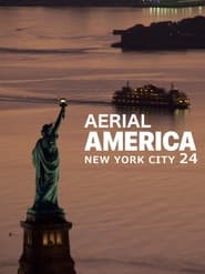 Aerial America постер