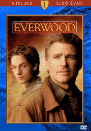 Everwood 1. évad plakát