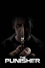 Marvel’s The Punisher