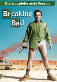 Breaking Bad: 1 Staffel