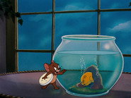 Jerry And The Goldfish