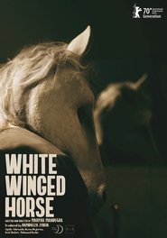 Poster White Winged Horse 2020