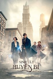 Sinh Vật Huyền Bí và Nơi Tìm Ra Chúng (2016)