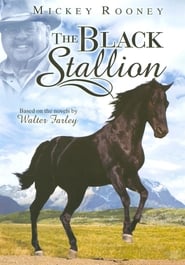 Poster Adventures of the Black Stallion 1990