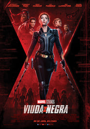 Viuda Negra poster