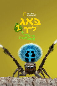 A Real Bug's Life Season 2 25