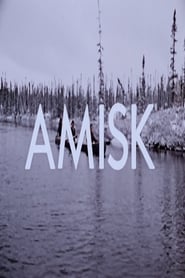 Poster Amisk