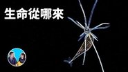 Episode 286