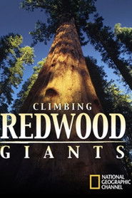 Full Cast of Climbing Redwood Giants