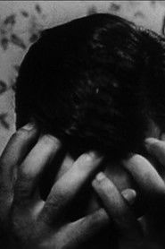 In Light, In! (2014)