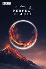 Досконала планета постер