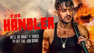 The Handler en streaming