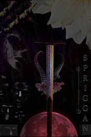 Poster Spriggan