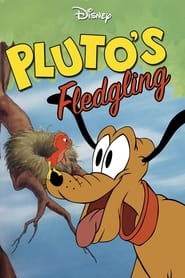 Poster Pluto als Fluglehrer