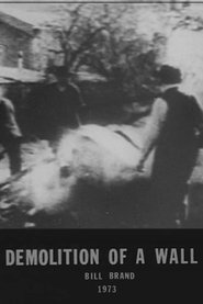 Demolition of a Wall