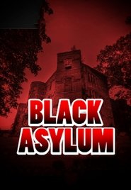 Poster Black Asylum 2013