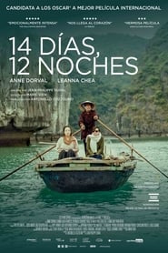 14 días, 12 noches (2019) HD 1080p Latino