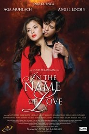 Watch In the Name of Love (2011)