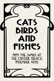 Poster Cats, Birds and Fishes