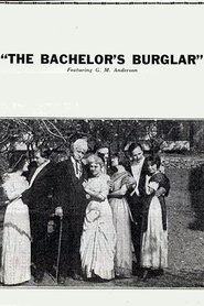 Poster The Bachelor's Burglar 1915