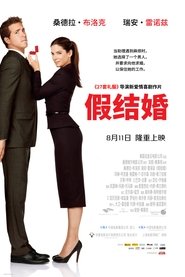 假结婚 (2009)