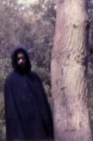 Poster Forbidden Joy 1972