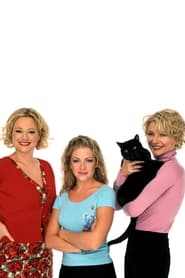 Sabrina, the Teenage Witch poster