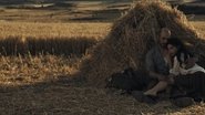 Destinée en streaming