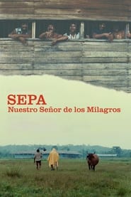 Poster Sepa - Nuestro Señor de los Milagros