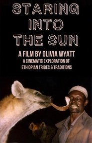 Poster Staring Into the Sun 2010