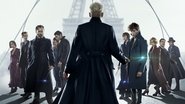 Les Animaux fantastiques 2 Les Crimes de Grindelwald