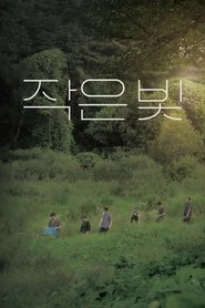 Poster Tiny Light 2020