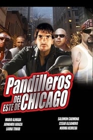 Poster Chicago, pandillas salvajes