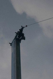 Des grues et des voix