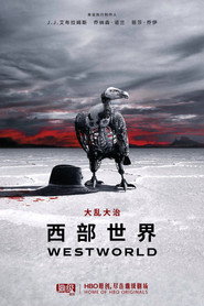西部世界 门 海报
