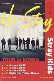 Stray Kids HI-STAY TOUR FINALE IN SEOUL