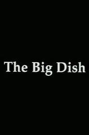 The Big Dish streaming