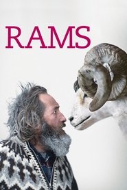 Rams (2015)