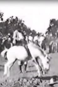 Poster Cavalier sur un cheval rétif