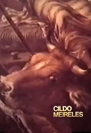 Poster Cildo Meireles 1979
