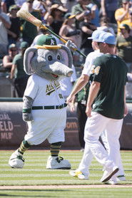 Poster A's Final Cut - 2012 1970