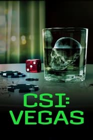 CSI: Vegas постер