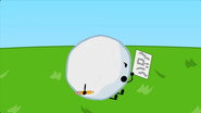 Are You Smarter Than a Snowball?
