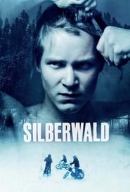 Poster Silberwald