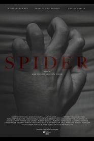 Poster Spider