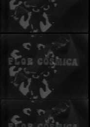 Poster Flor Cosmica 1977