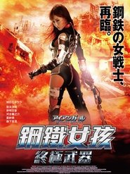 钢铁少女：究极神兵 (2015)