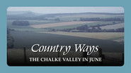 The Chalke Valley in June