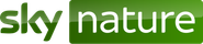 Sky Nature