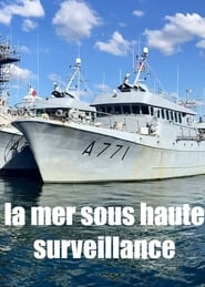 Poster La mer sous haute surveillance 2017